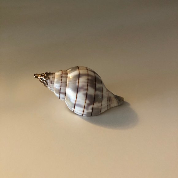 Seashell Pendant with Gold Fascinator for Necklace - Picture 2 of 5